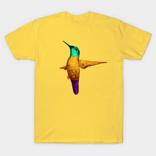 Hummingbird T-Shirt